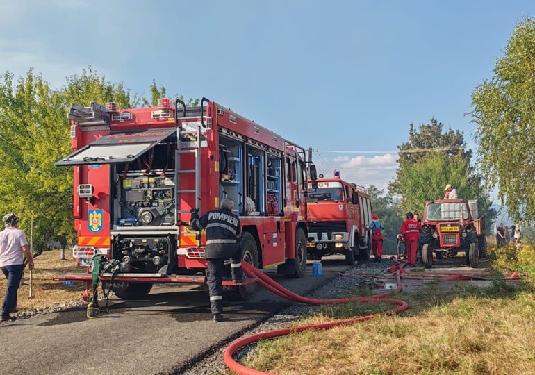 Incendiu de vegetație masiv în Maramureș, în trei localități. Aproape 500 de hectare afectate (Foto&Video)