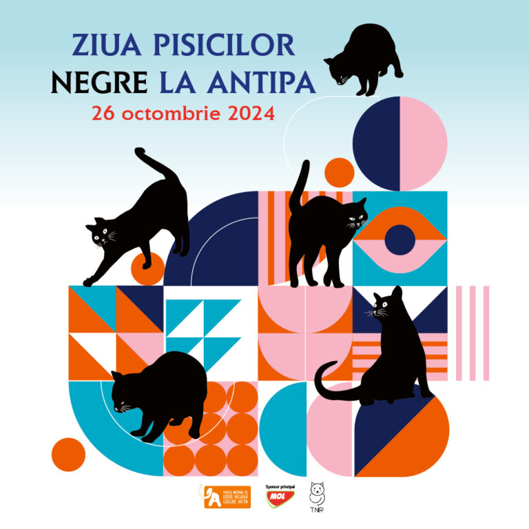 ziua-pisicilor-negre