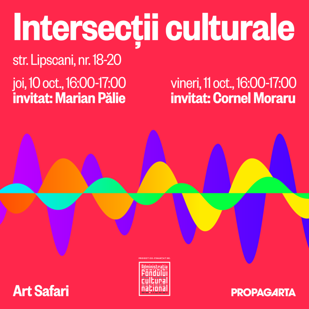 Intersectii-Culturale-Art-Safari