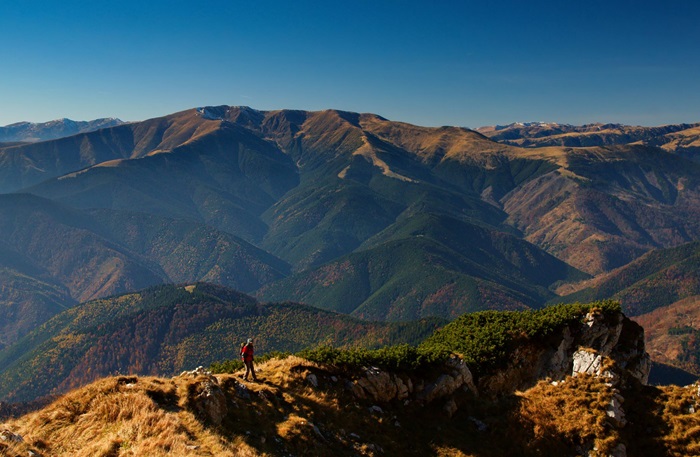 Publicația National Geographic evidențiază eforturile Fundației Conservation Carpathia pentru conservarea naturii și a comunităților din Munții Făgăraș