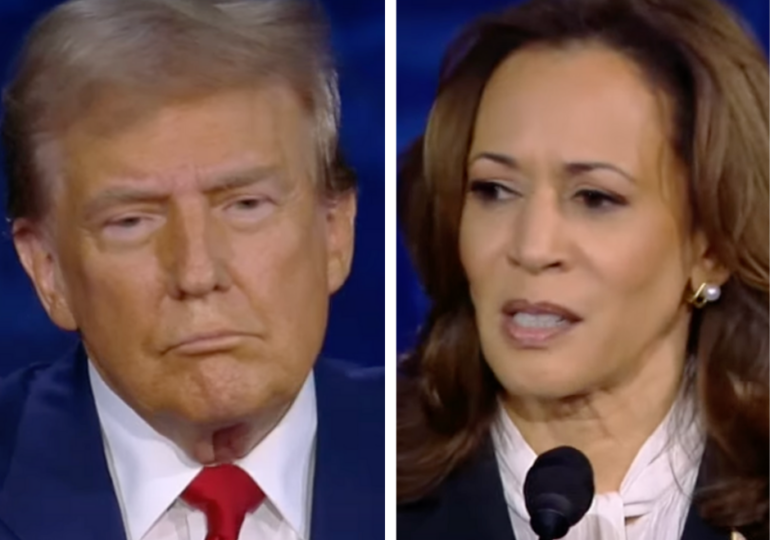 Donald Trump sau Kamala Harris, ce președinte american va fi mai bun pentru România?