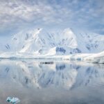 Chihlimbarul a fost descoperit, în premieră, în Antarctica