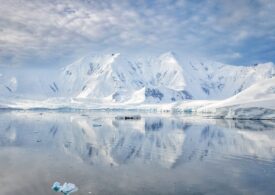 Chihlimbarul a fost descoperit, în premieră, în Antarctica