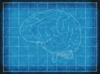 Un contraceptiv hormonal comun, risc de tumoare cerebrală rară