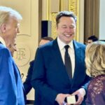 „Zvârluga” care ar putea fi puntea peste prăpastia dintre Trump și Europa. Via Musk – analiză CNN