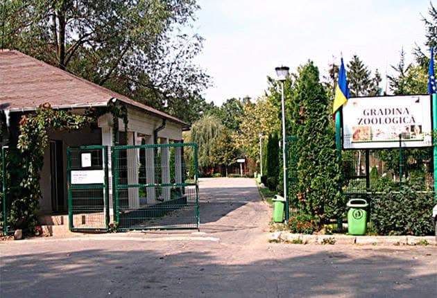 Zoo Pitesti