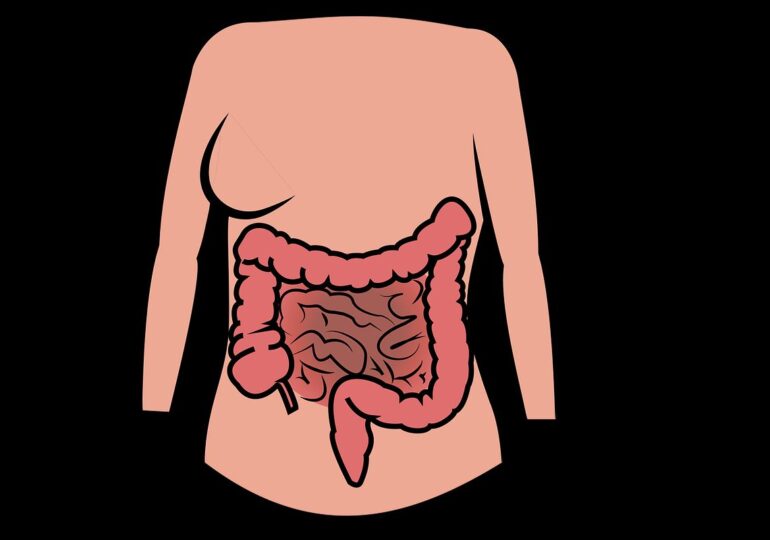 Oamenii de știință au descoperit o nouă țintă promițătoare pentru antidepresive, în intestin. Cine se pretează cel mai bine la un astfel de tratament
