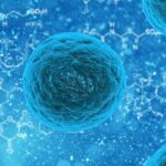 S-a descoperit o legătură între un virus comun, care infectează intestinul, și Alzheimer. 80% dintre noi avem virusul la un moment dat în corp