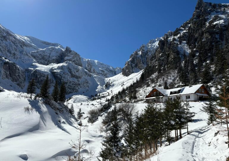 Avalanșă în Bucegi. Zăpada a coborât până spre poteca turistică (Foto)