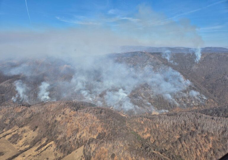 Incendiile de vegetație din România au făcut primele victime: Un mort și doi răniți, printre care un pompier