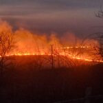 Peste un milion de hectare au ars în UE de la începutul anului, un record de la înregistrarea datelor. România e pe locul trei