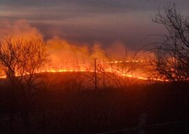 Incendiile s-au extins în șase județe, pe o suprafață de peste 500 de hectare