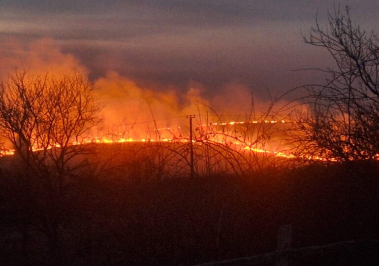 Incendiile s-au extins în șase județe, pe o suprafață de peste 500 de hectare