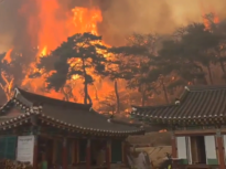 Un incendiu forestier face ravagii în Catalonia. 45.000 de persoane au fost sfătuite să rămână în casele lor