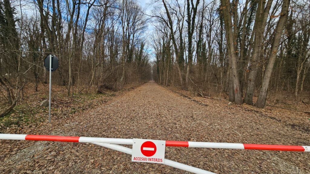 Pădurea Băneasa ar putea deveni parc natural chiar în acest an