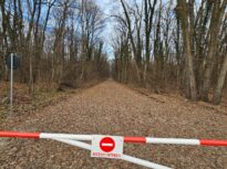 Pădurea Băneasa ar putea deveni parc natural chiar în acest an