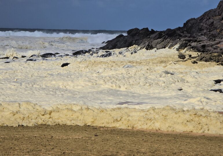 A mysterious foam emerged from the sea water. It is toxic and has killed a lot of marine animals (Video)