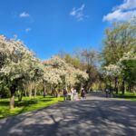 Vreme schimbătoare în luna mai: de la frig și ploi, la căldură neobișnuită