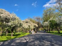 Cum va fi vremea de Paște. Meteorologii anunță cât de cald va fi și unde va ploua