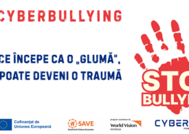Asociația Educație în Securitate Cibernetică se implică activîn prevenirea violenței în mediul digital