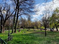 După valul de frig, vremea se încălzește brusc. Temperaturile ajung la 27 de grade