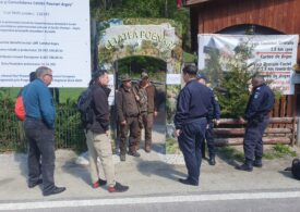 Cetatea lui Vlad Țepeș a fost închisă din cauza unui urs, la doar două săptămâni de la redeschidere