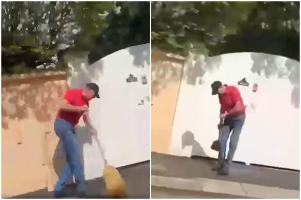 Ipostază inedită: Klaus Iohannis, imagine-simbol a lucrului bine făcut (Video)