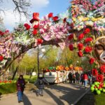 Craiova, pe primul loc în topul Forbes al destinațiilor culturale europene pentru 2025