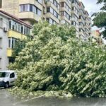 Străzi inundate în București. Un copac uriaș a căzut și a blocat Bulevardul Lacul Tei. O nouă avertizare de ploi torențiale (Foto&Video)