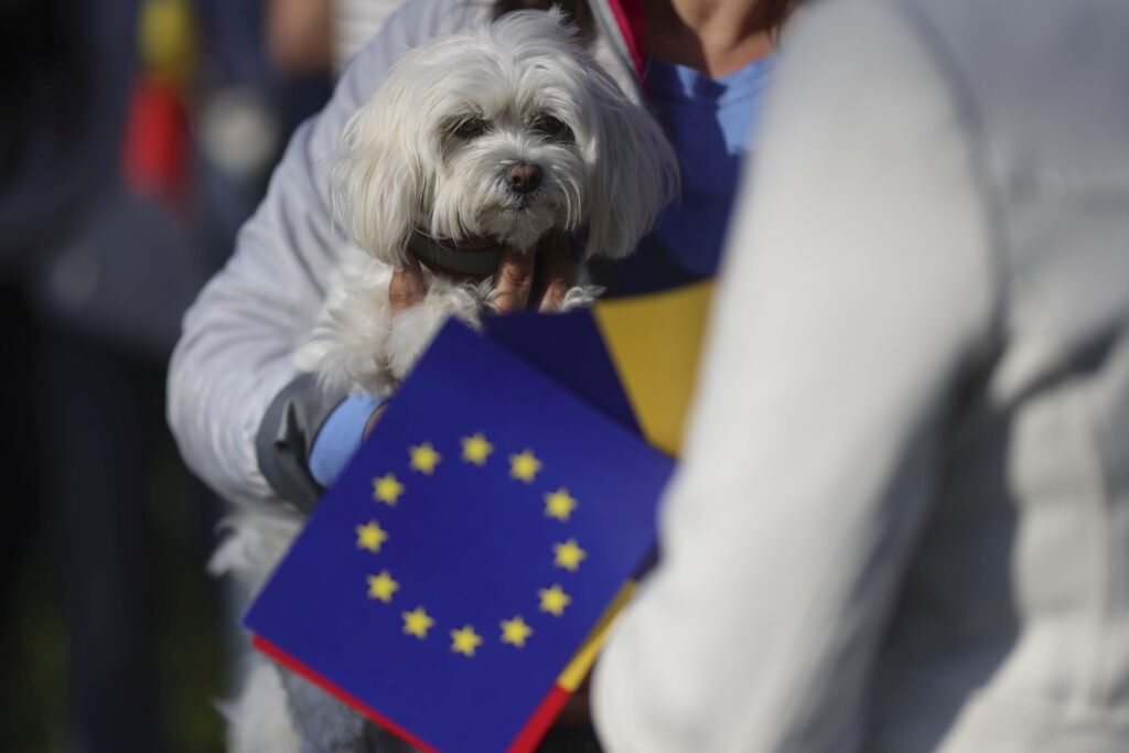 caine manifestatie pro europa