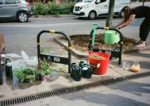 Grădinăritul de gherilă: Cum transformă o tânără străzile londoneze cu semințe și o lopată