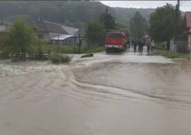 Copac căzut pe o conductă de gaze, în București. Cum arată România după câteva zile de ploaie: Case inundate, circulație blocată (Foto & Video)