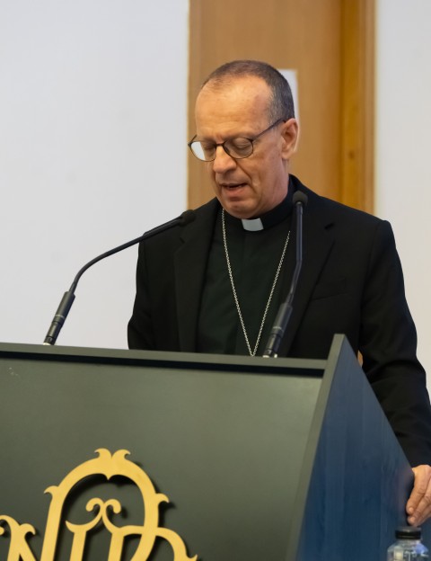 laudemun 7