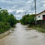 Gospodării din Neamț și Bacău, inundate de viituri. Mașini luate de ape