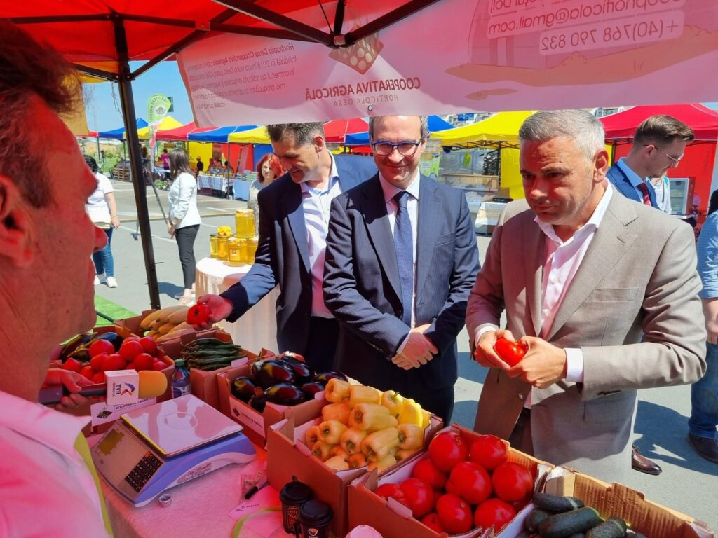 Barbu cu rosia