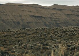 Un grup necunoscut de Homo Sapiens a trăit în zona Bogotei, dar a dispărut fără urmă. Ce arată cercetările ADN