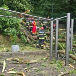Brașov: Un copac a căzut peste două persoane, una dintre ele a murit