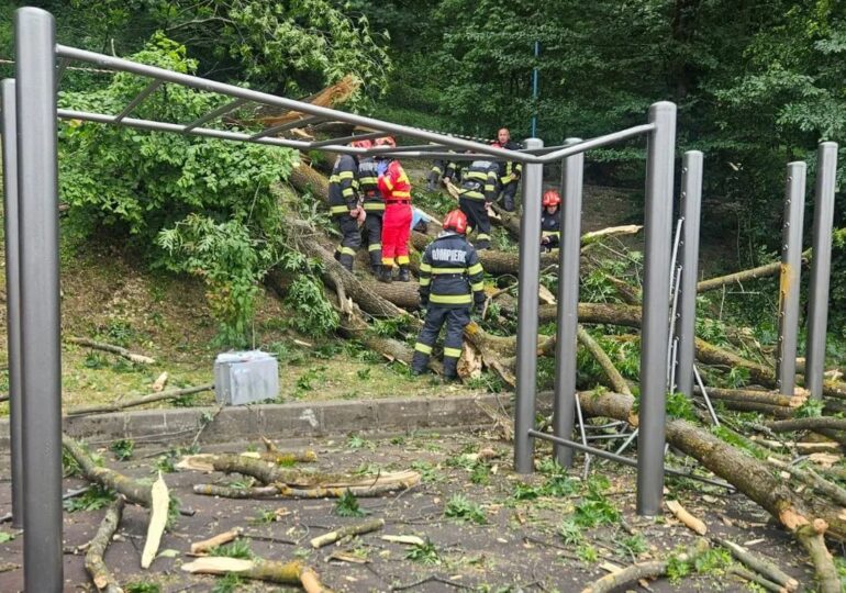Brașov: Un copac a căzut peste două persoane, una dintre ele a murit