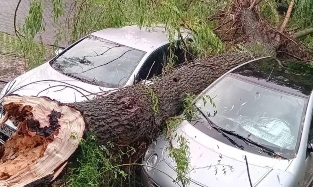 Cod portocaliu în Mureș: 120 de apeluri la 112, copaci căzuți peste mașini, acoperișuri luate de vânt, o persoană – lovită de fulger (Foto&Video)