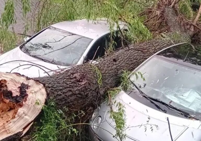 Cod portocaliu în Mureș: 120 de apeluri la 112, copaci căzuți peste mașini, acoperișuri luate de vânt, o persoană - lovită de fulger (Foto&Video)