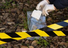 Tânără însărcinată, ucisă cu toporul în fața copiilor și a mamei sale. Criminalul a fost reținut