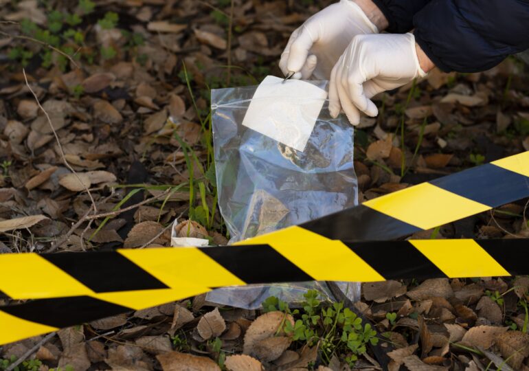 Tânără însărcinată, ucisă cu toporul în fața copiilor și a mamei sale. Criminalul a fost reținut