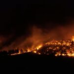 Focul înghite Izmirul: locuitorii taie copacii ca să-și salveze casele (Video)