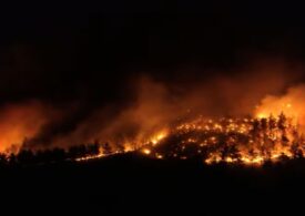 Focul înghite Izmirul: locuitorii taie copacii ca să-și salveze casele (Video)