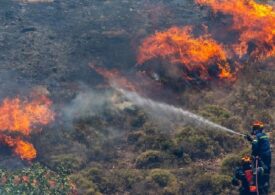 Un incendiu de vegetație face ravagii lângă Atena. Localnicii au fost îndemnați să se evacueze (Foto & Video)