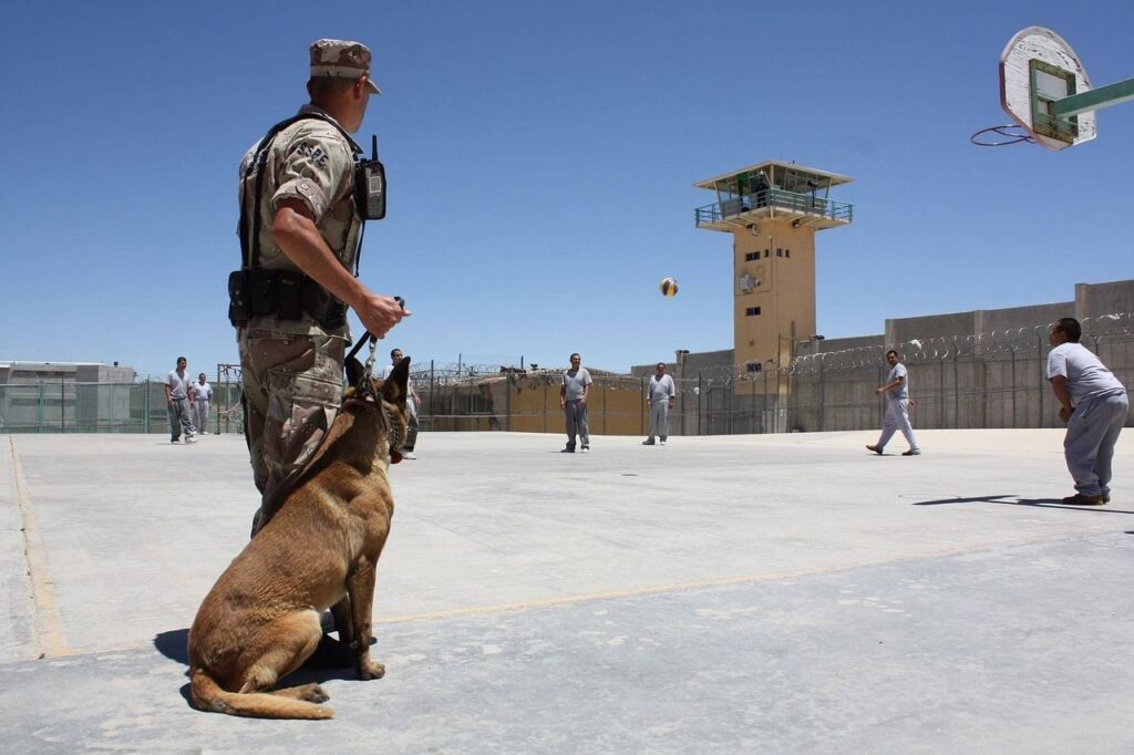 Politico: Trump trimite 100 de migranți români la temuta închisoare Guantanamo. Casa Albă acuză fake news. Reacția ambasadei și a MAE