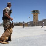 Trump ar putea trimite 100 de migranți români la temuta închisoare Guantanamo UPDATE Reacția Ambasadei României în SUA