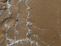 Atenționare de călătorie pentru Valencia, e cod roșu de fenomene meteo extreme