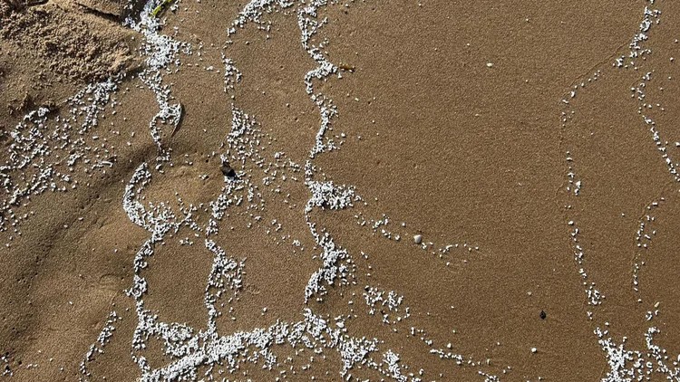 Patru plaje din regiunea Valencia au fost închise din cauza unor particule albe misterioase