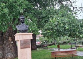 A mai căzut un plop la Plopii fără soț... Era declarat monument al naturii